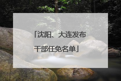 沈阳、大连发布干部任免名单